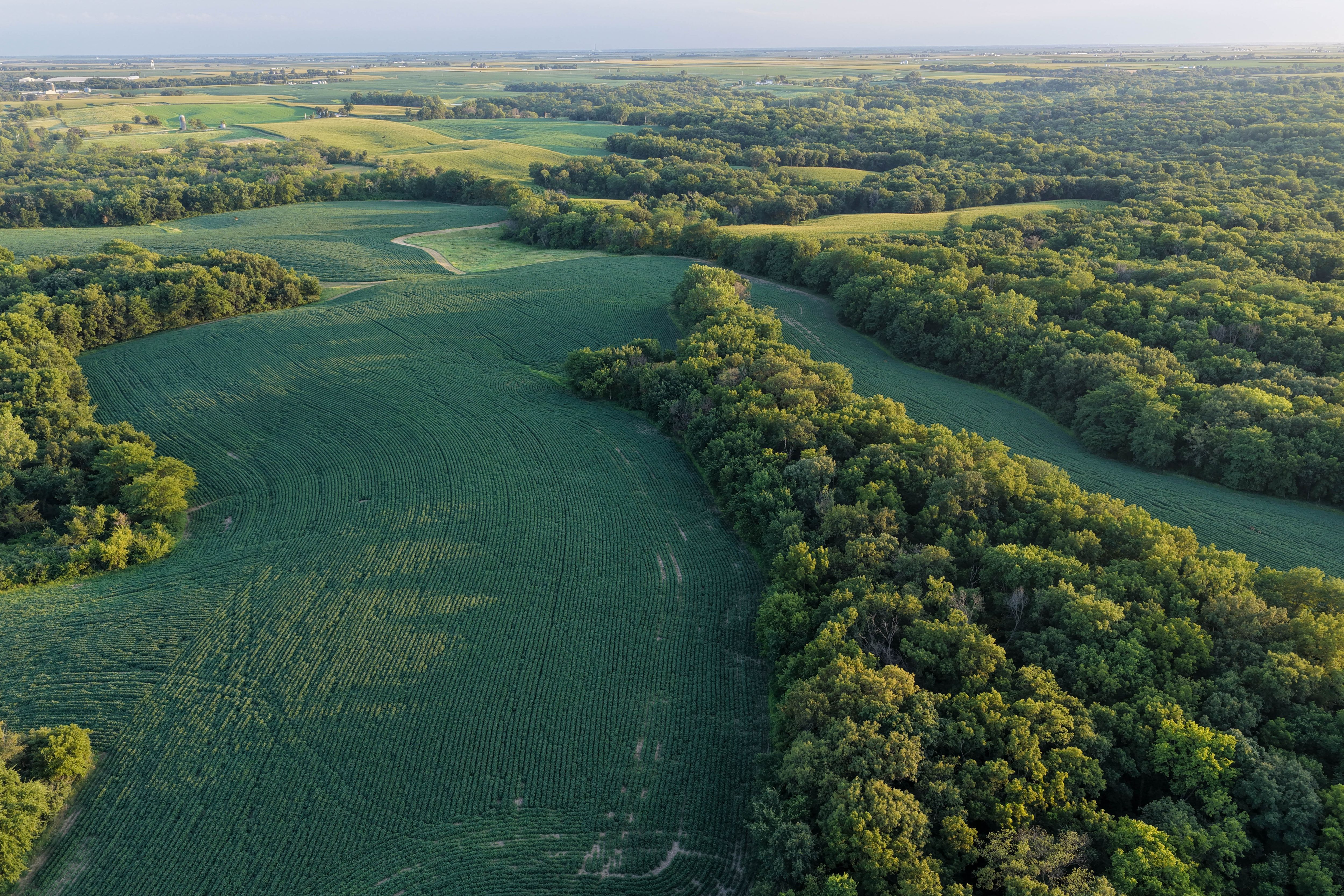 Listing Photo: Whitetail Hunting Farm Mahaska County Iowa-84